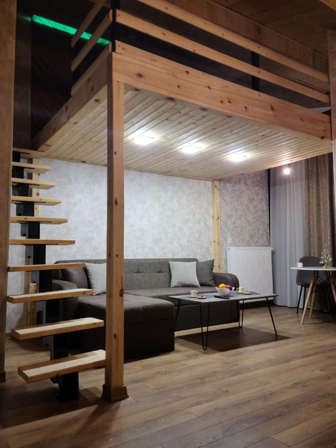 Gudauri Winter House Apartment Ngoại thất bức ảnh