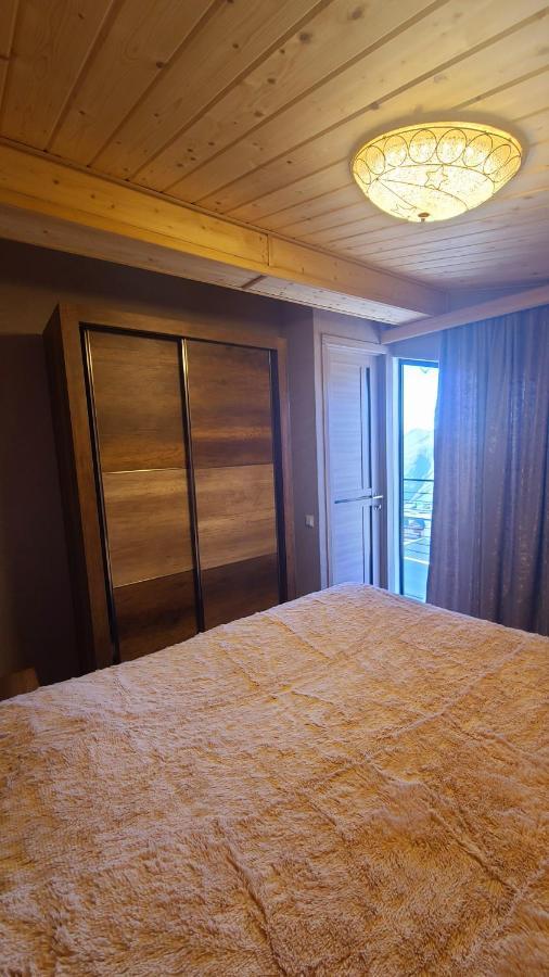 Gudauri Winter House Apartment Ngoại thất bức ảnh